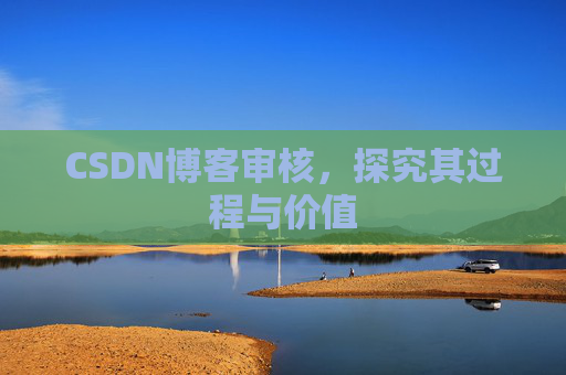 CSDN博客审核，探究其过程与价值